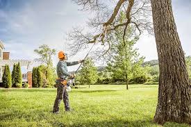 Best Utility Line Clearance  in Lakeview, NY