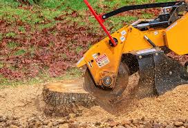 Best Aeration Services  in Lakeview, NY